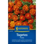Tagetessamen Fiesta