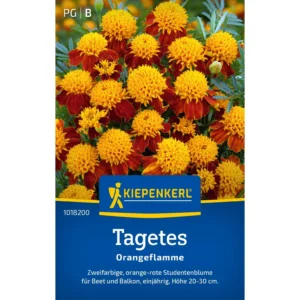 Tagetessamen Orangeflamme