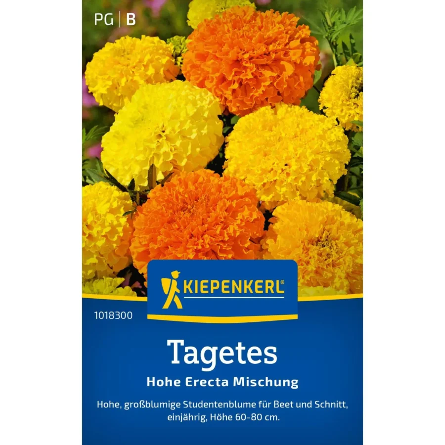 Kiepenkerl Tagetessamen Hohe Erecta Mischung, bunten Blüten, ideal für bienenfreundliche Gartenlandschaften, 1 Gramm.