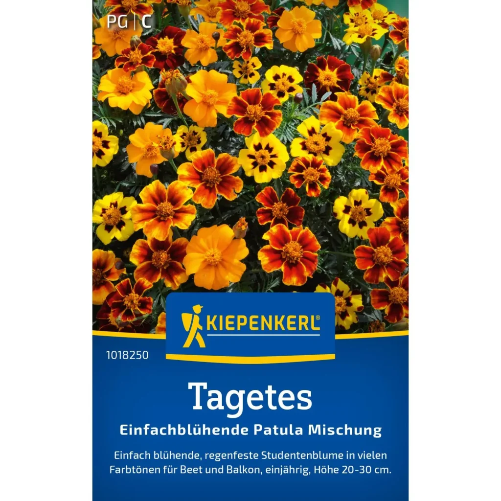 Kiepenkerl Tagetessamen Patula-Mischung für leuchtende, pflegeleichte Blumenbeete, 1 g, ideal für Balkon und Garten.