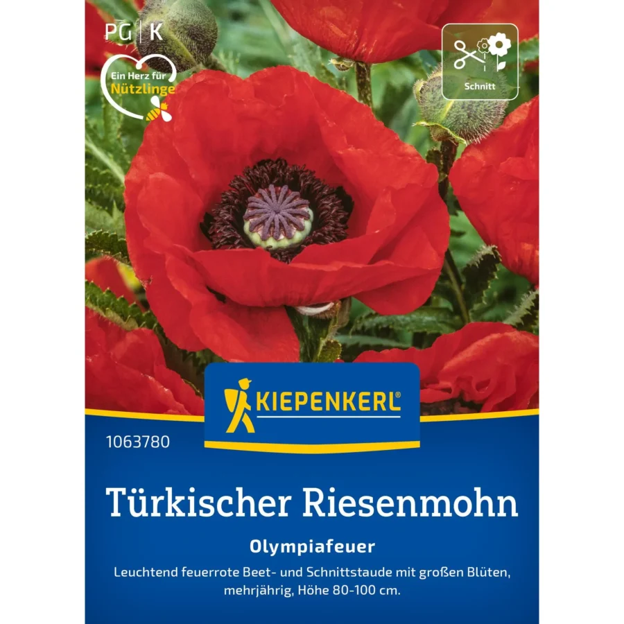 Kiepenkerl Türkischer Riesemohn &apos;Olympiafeuer&apos;, leuchtend rote Blüten, ideal für bunte Blumenbeete, mehrjährig und pflegeleicht.