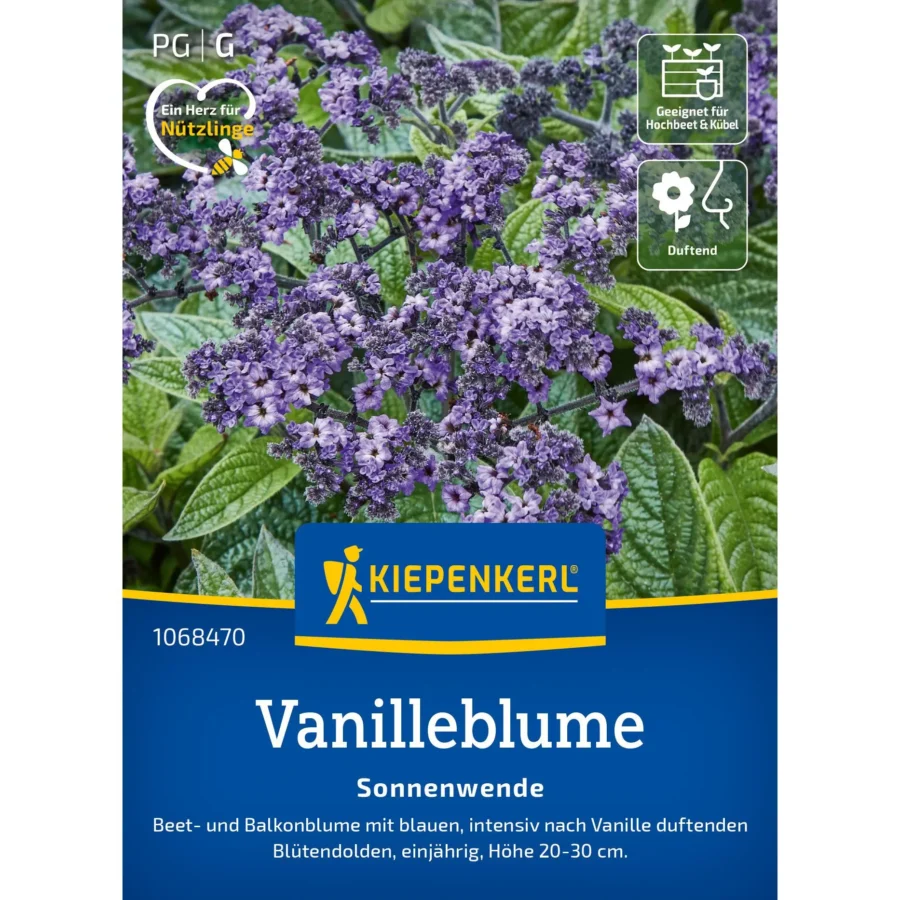 Kiepenkerl Vanilleblume Sonnenwende, duftende robuste Blütenpflanze, ideal für Kübel- und Beetanpflanzung, Blütezeit von Juni bis September.