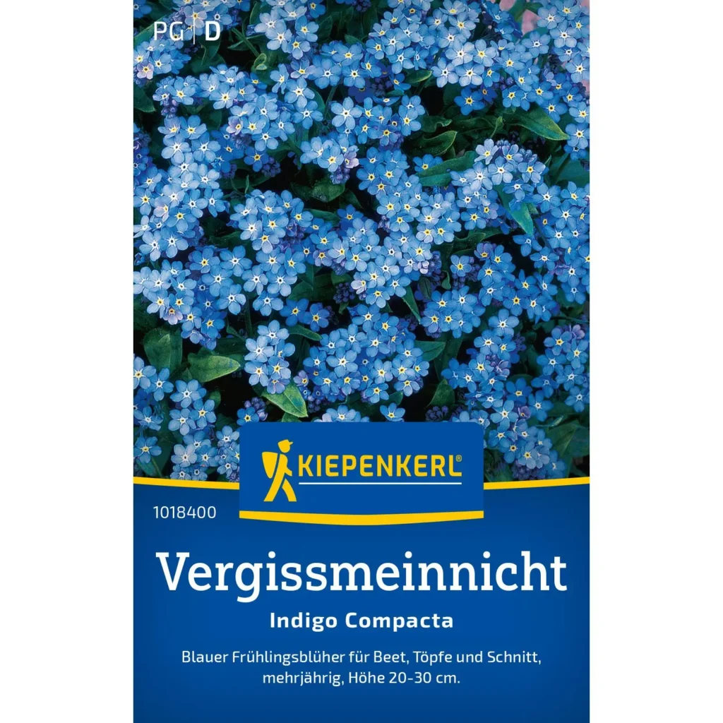Kiepenkerl Vergissmeinnicht Indigo Compacta, robust und blühend, ideal für bunten Garten, 20 cm hoch, sorgt für lebendige Akzente.