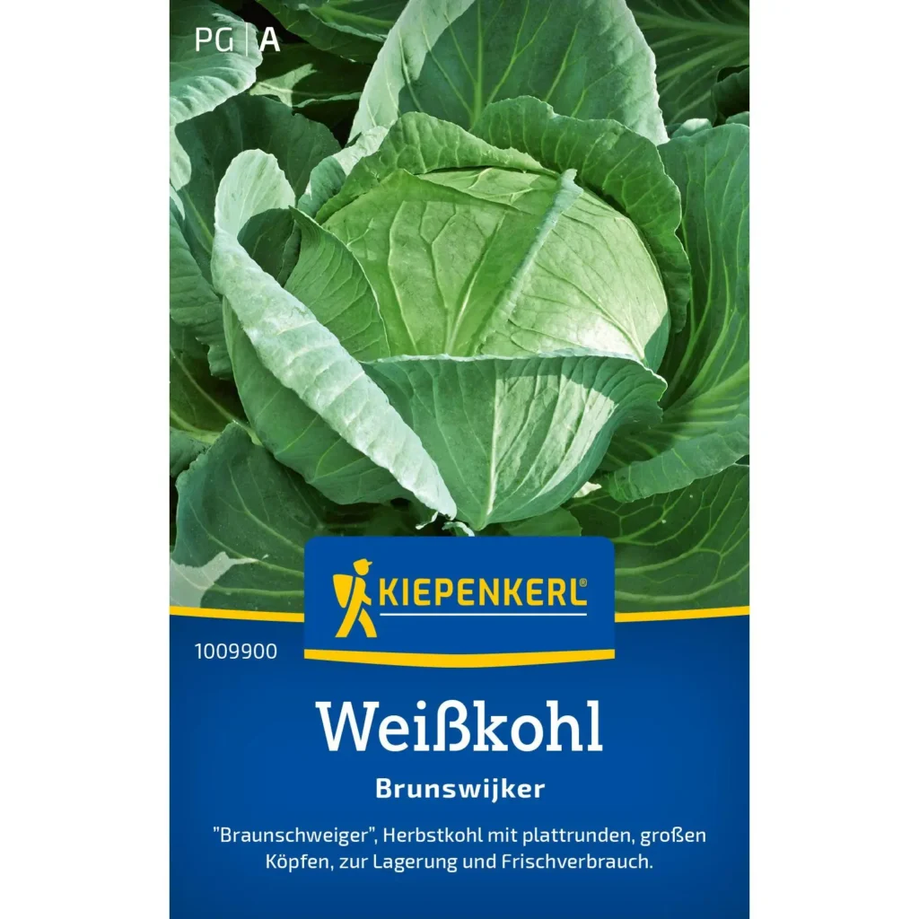Weisskohl Brunswijker, besonders schossfest und ertragreich, ideal für gesunde Mahlzeiten im eigenen Garten.