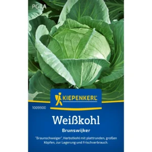 Weißkohlsamen Brunswijker