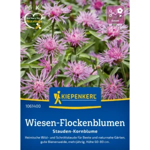 Wiesen-Flockenblumensamen Stauden-Kornblume