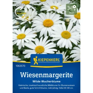 Wiesenmargeritensamen Wilde Wucherblume