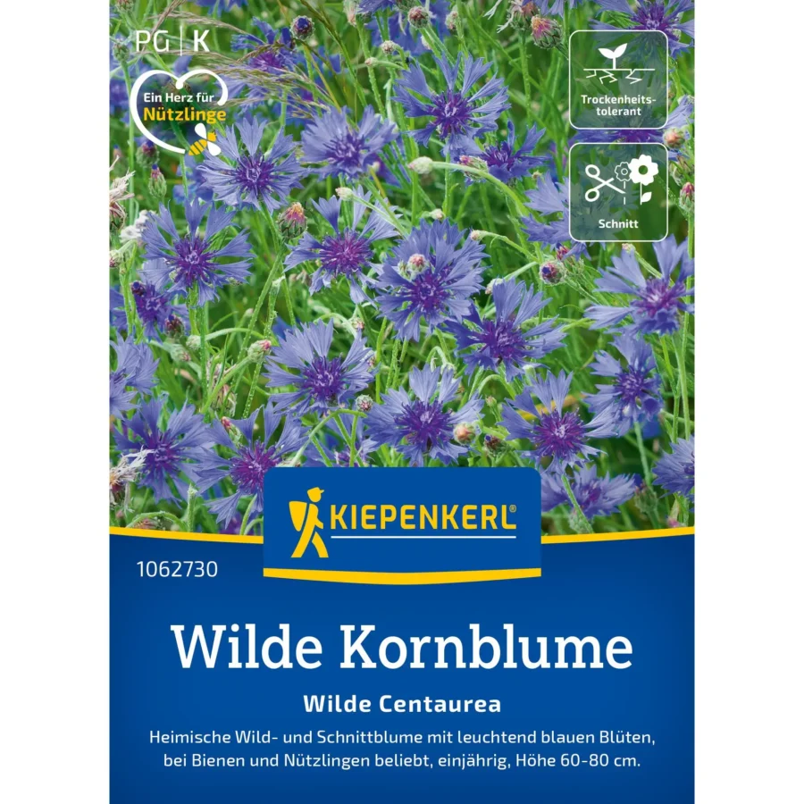 Wilde Kornblume von Kiepenkerl, blühfreudige Wildblume, ideal für naturnahe Gärten, mehrjährige Pflanze, robust und pflegeleicht.