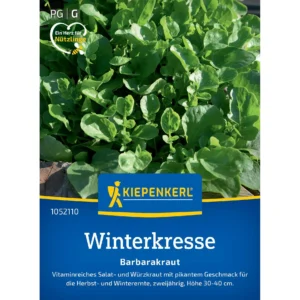 Winterkressesamen Barbarakraut