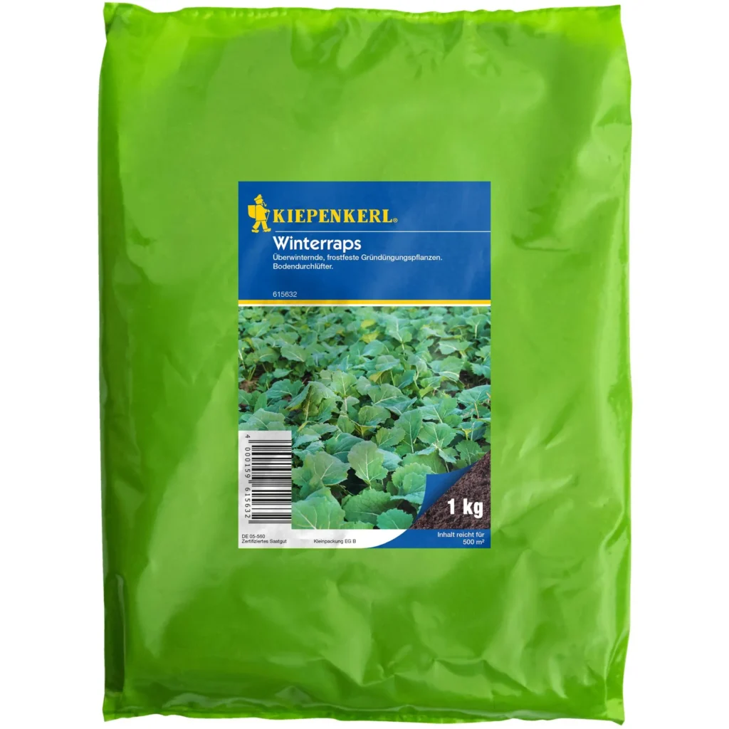 Kiepenkerl Winterraps, 1 kg, ideal für eine ertragreiche Ernte, winterfest und robust gegen Kälte, perfektes Saatgut für gesundes Gemüse.
