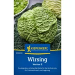 Wirsingsamen Vertus 2