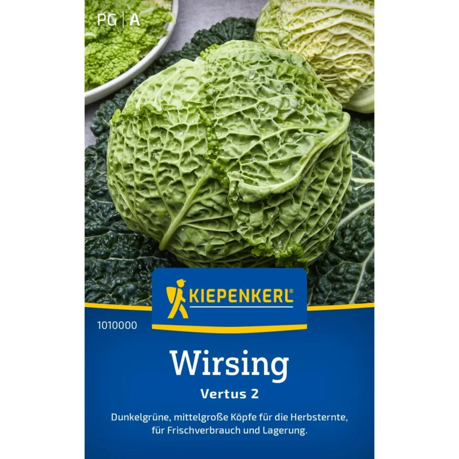 Kiepenkerl Wirsing Vertus-2-1, vitaminreiche, frostbeständige Sorte, ideal für den Hausgarten, hochwertiger Saatgut-Packung mit 2,5 g.