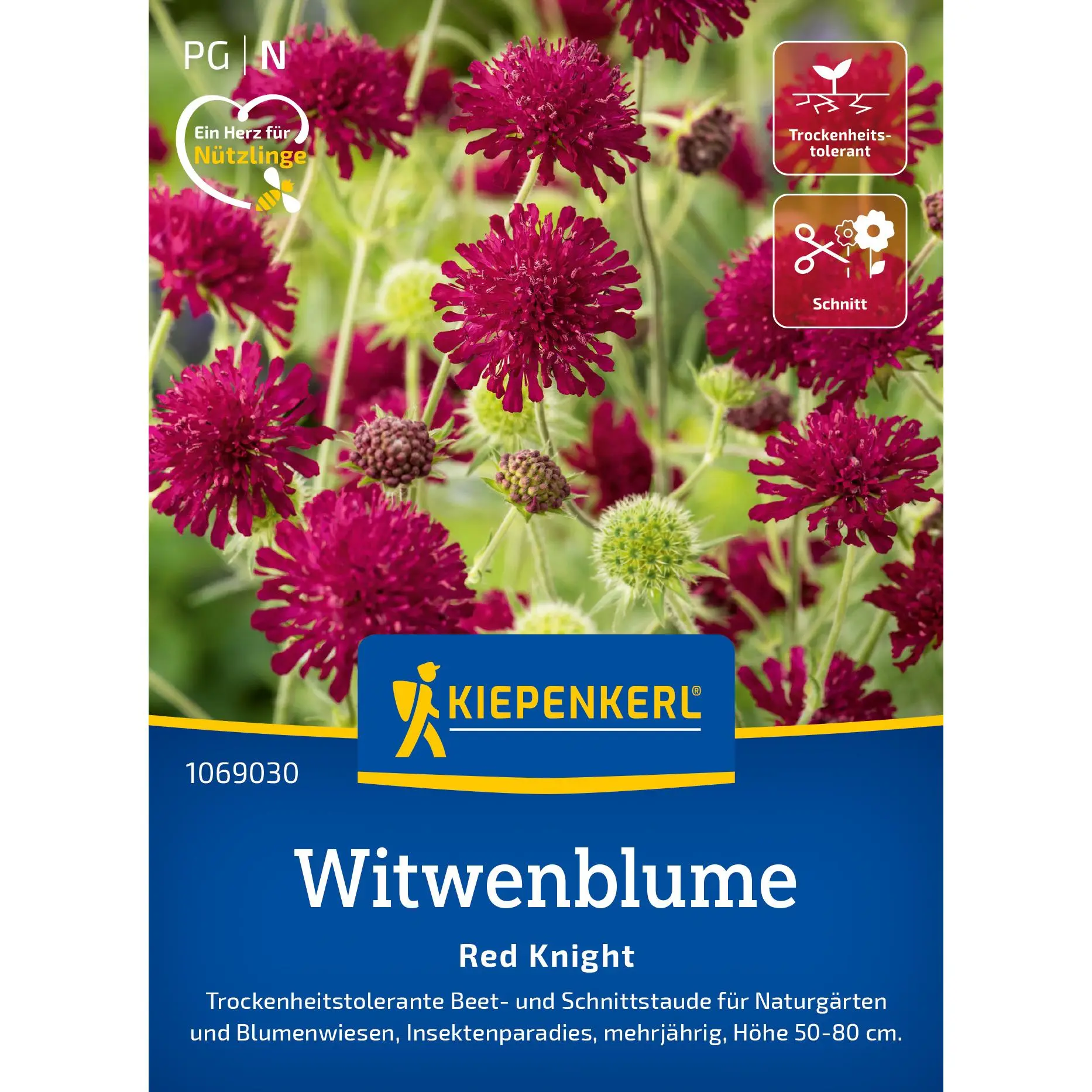 Witwenblumensamen Red Knight 1 Kiepenkerl Witwenblumensamen Red Knight, robuste rote Blüten, ideal für naturnahe Gärten, 1 Portion für farbige Akzente im Beet.