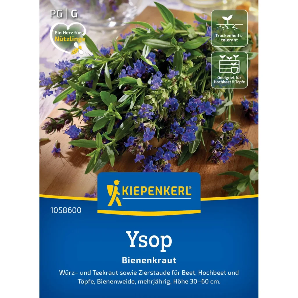 Kiepenkerl Ysopsamen für aromatisches Bienenkraut, ideal für gesundes Gartendesign und Insektenfreundlichkeit, 1 Portion.