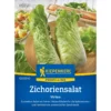 Kiepenkerl Zichoriensalat Virtus F1, knackig und schmackhaft, ideal für frische Salate und als gesundes Gemüse im Garten.