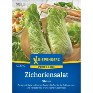 Zichoriensalatsamen Virtus
