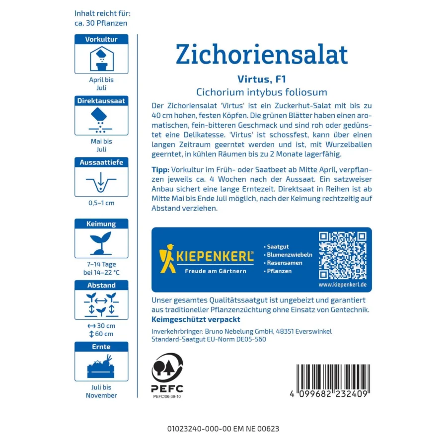 Kiepenkerl Zichoriensalat Virtus F1, gesundes und schmackhaftes Salatgemüse, ideal für den Anbau im eigenen Garten.
