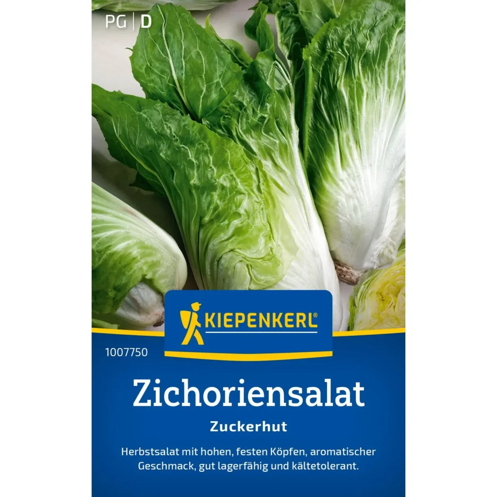 Kiepenkerl Zichoriensalat Zuckerhut, knackig und bitter-aromatisch, ideal für frische Salate und gesunde Ernährung, 250 g.