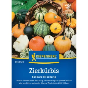 Zierkürbissamen Essbare Mischung
