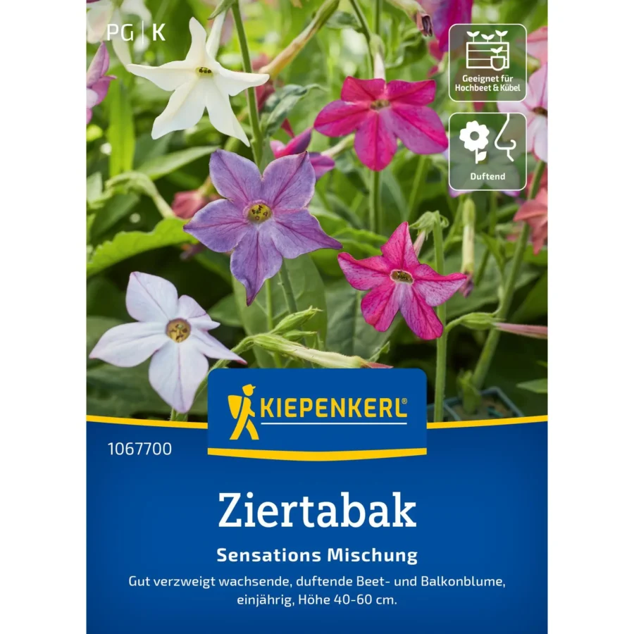 Kiepenkerl Ziertabak Sensations-Mischung, aromatische Mischung für stilvolle Tabakpflanzen, ideal für Balkon & Garten.