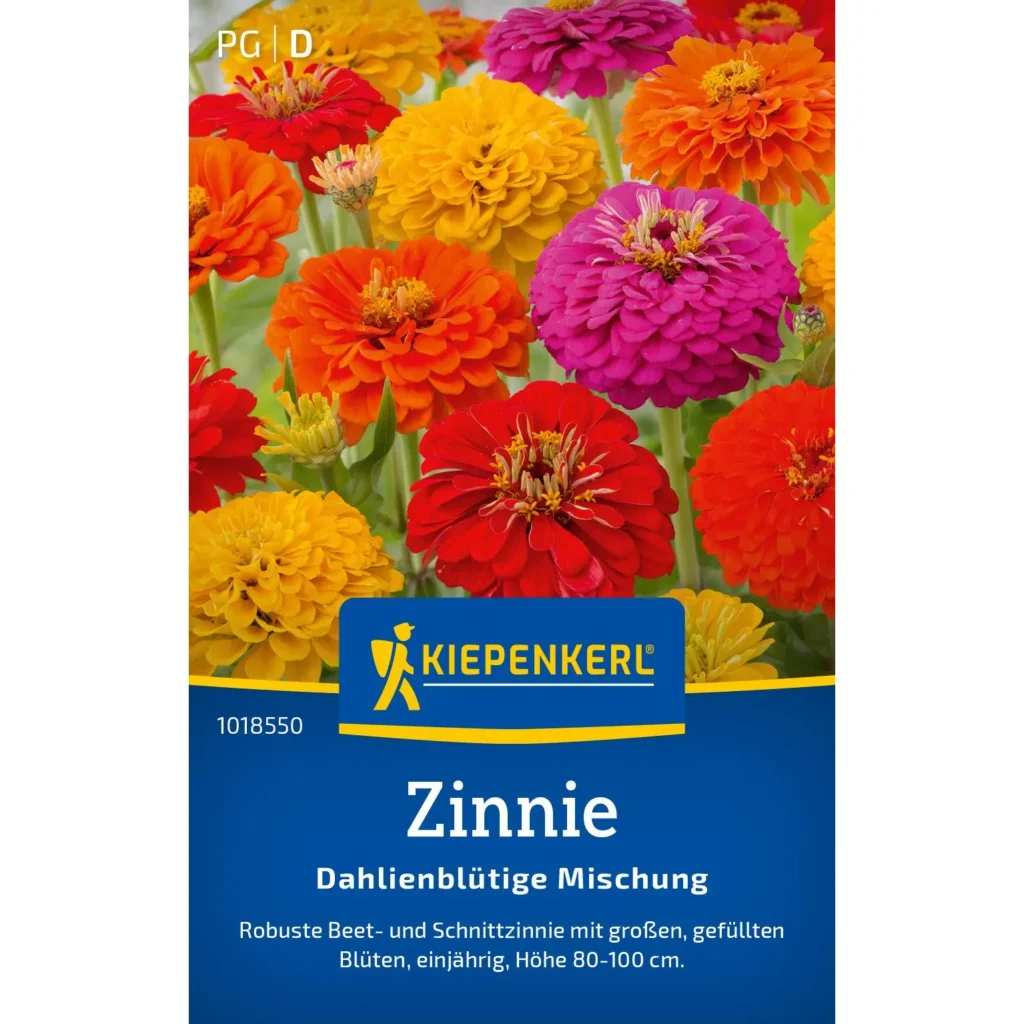 Kiepenkerl Zinnie-Dahlienblütige Mischung, farbenfrohe Blumensamen für üppige Gartenbeete, ideal für Bienen und Schmetterlinge.