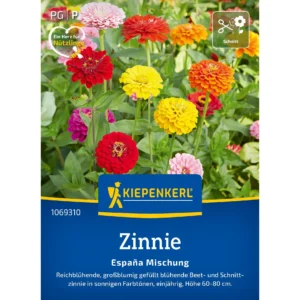 Zinniensamen Espana Mischung