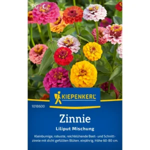 Zinniensamen Liliput Mischung