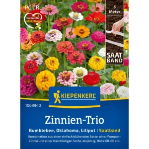 Zinnien-Triosamen Bumblebee, Oklahoma, Liliput