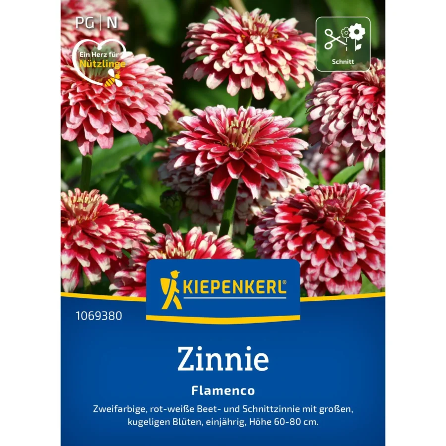 Kiepenkerl Zinniensamen Flamenco, farbenfroh und robust, ideal für lückenlose Sommerblüten, 1 Portion für üppige Blumenzonen.