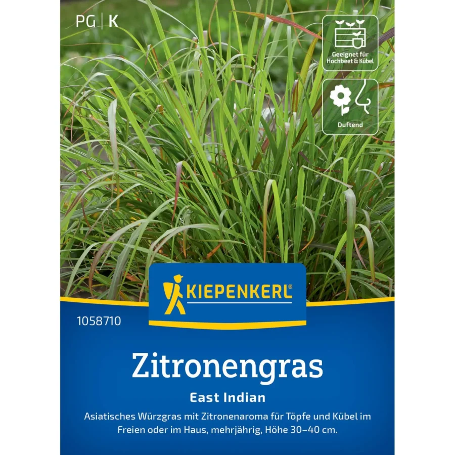 Kiepenkerl Zitronengrassamen East Indian, 1 Portion, ideal für aromatische Tees und asiatische Gerichte, einfach anzubauen.
