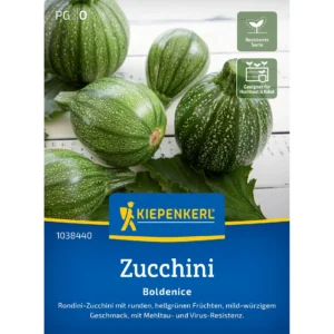 Zucchinisamen Boldenice