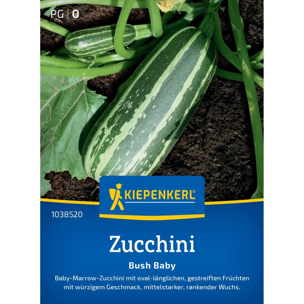 Kiepenkerl Zucchini Bush Baby F1, besonders ertragreich, kompakte Pflanzen für kleine Gärten, ideal für frische Gartenernte.