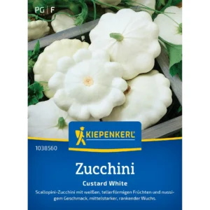 Zucchinisamen Custard White