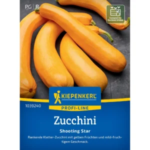 Zucchinisamen Shooting Star