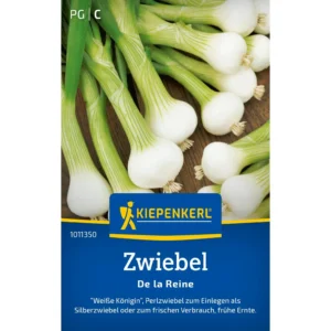 Zwiebelsamen De la Reine