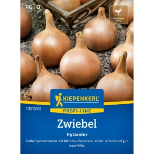 Zwiebelsamen Hylander