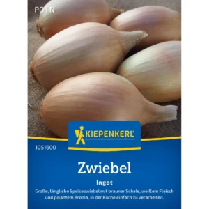 Zwiebelsamen Ingot
