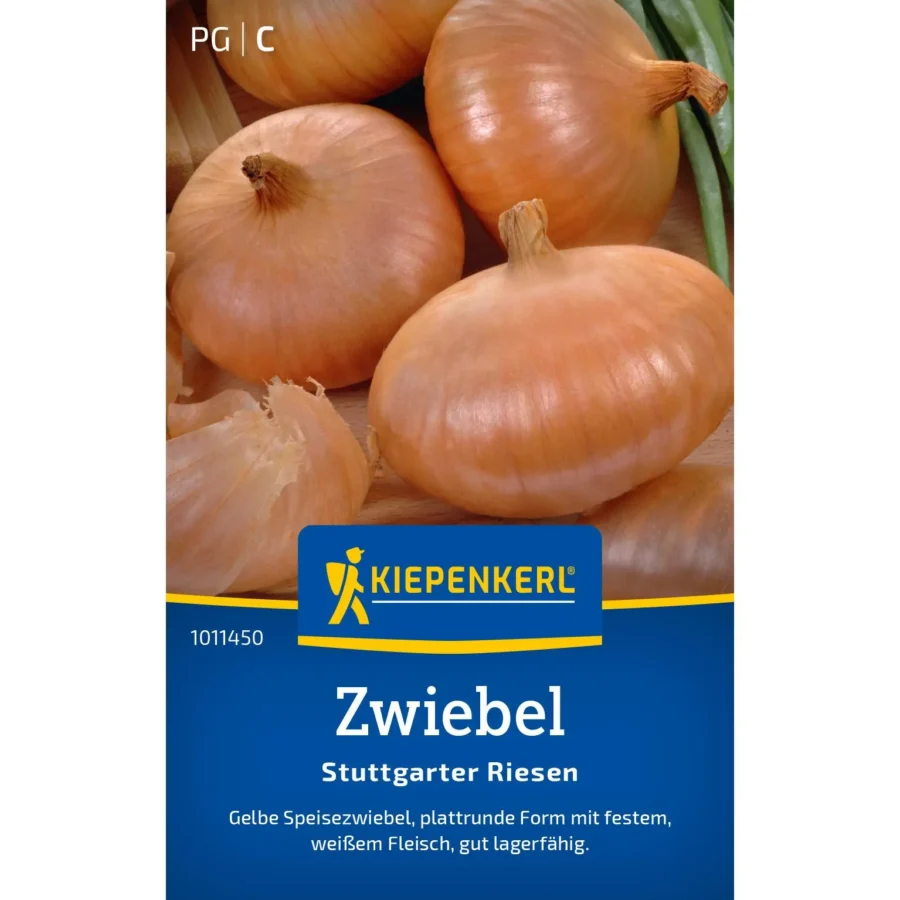 Kiepenkerl Zwiebel Stuttgarter Riesen, samenfest, ideal für reichhaltige Ernten, aromatisch und groß, 250 g".