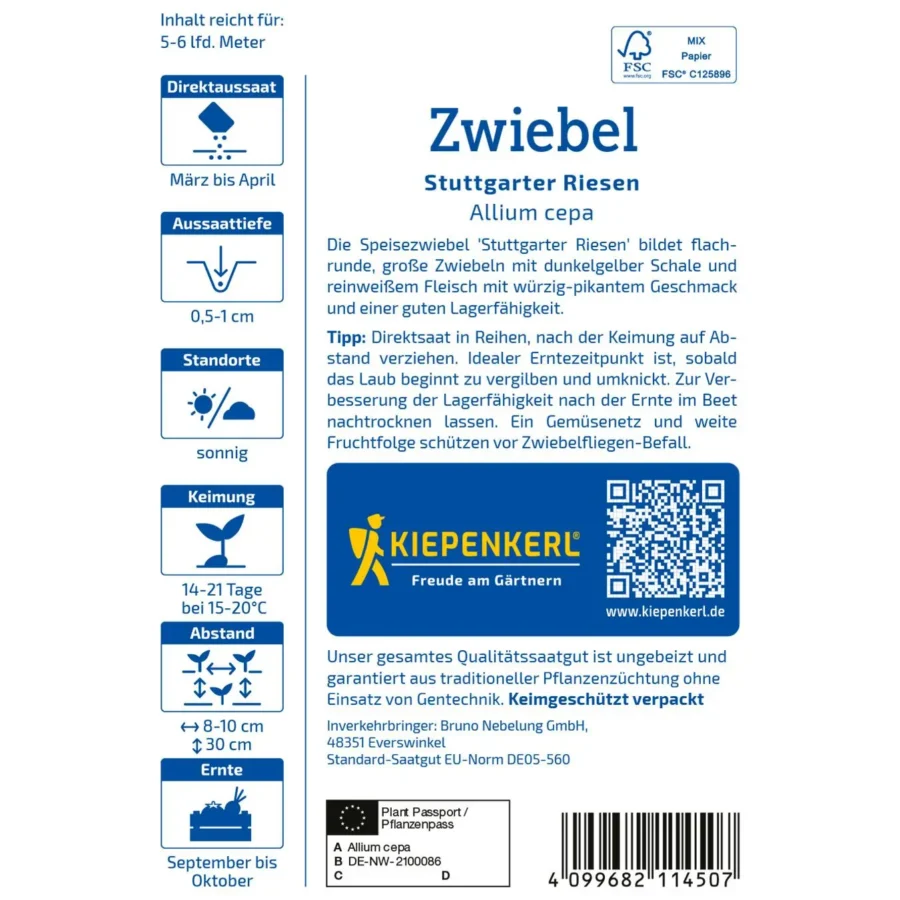 Kiepenkerl Zwiebel Stuttgarter Riesen, große, aromatische Zwiebeln, ideal für frisches Gemüse im Garten, hochwertig und robust.