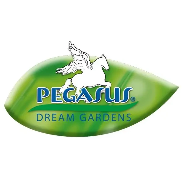 Pegasus
