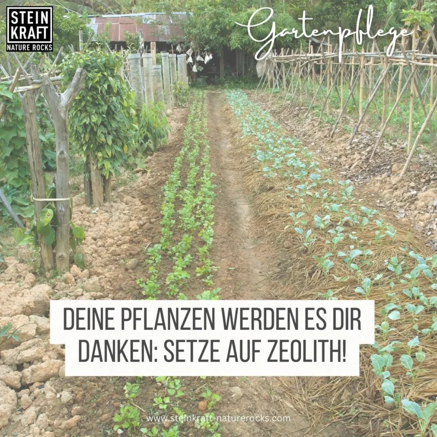 ZEOLITH für Boden 0,5 bis 1mm 5kg – Bild 3