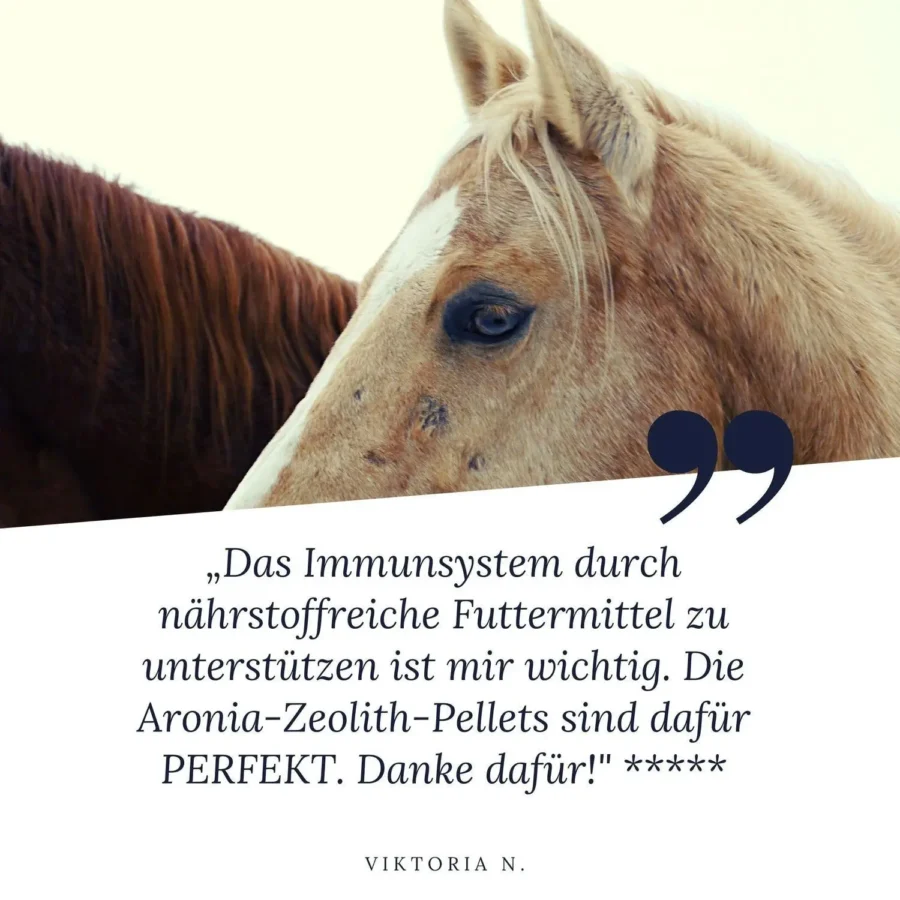 HORSEKRAFT Zeolith BIO Aronia Pellets 1.3kg zum Ausprobieren – Bild 2