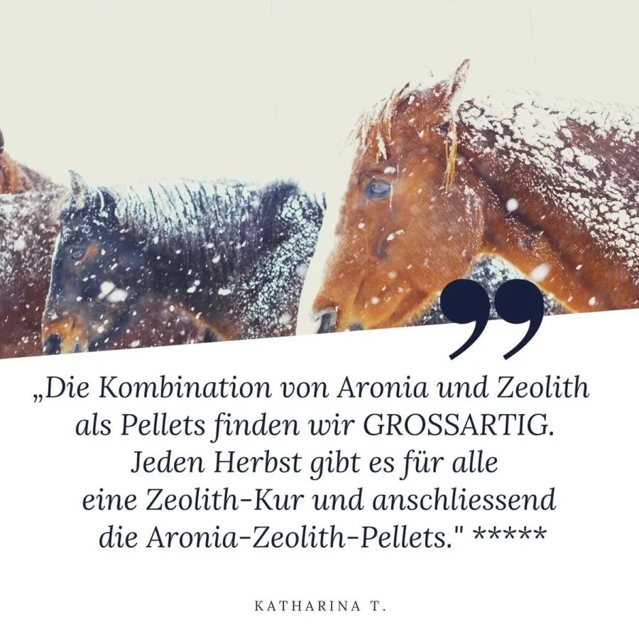 HORSEKRAFT Zeolith BIO Aronia Pellets 1.3kg zum Ausprobieren – Bild 4
