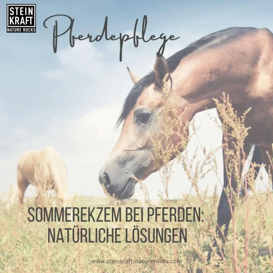 HORSEKRAFT Zeolith BIO Schwarzkümmel Pulver 4kg – Bild 5