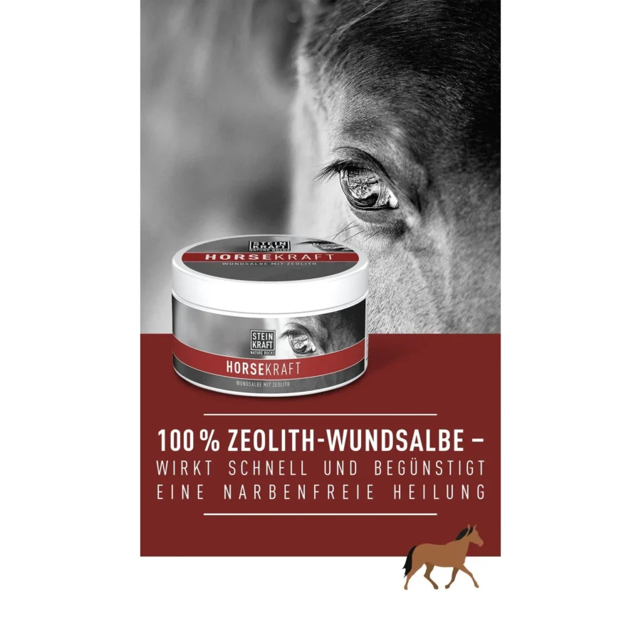 WUNDSALBE Zeolith für Pferd & Hund – Bild 4