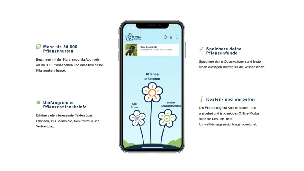 Flora Incognita App mit Smartphone-Ansicht und Vorteilen wie Pflanzenspeicherung, Steckbriefen und kostenloser Nutzung