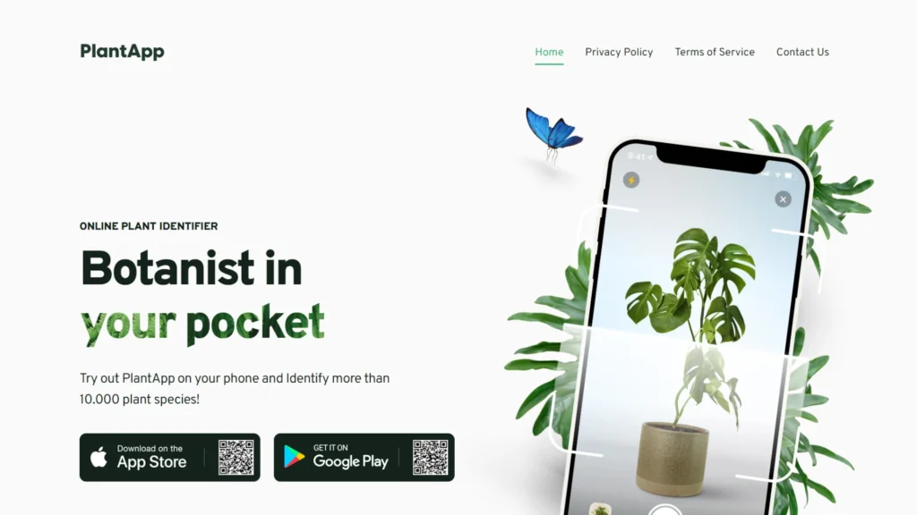 Künstliche Intelligenz im Garten - Wie KI die Zukunft deiner Gartenarbeit verändert 6 Smartphone-Screenshot der Plant App mit Pflanzenfoto, Namenserkennung und Pflegeinfos auf dem Display