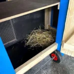 Hühnerstall Küken Kinderstube