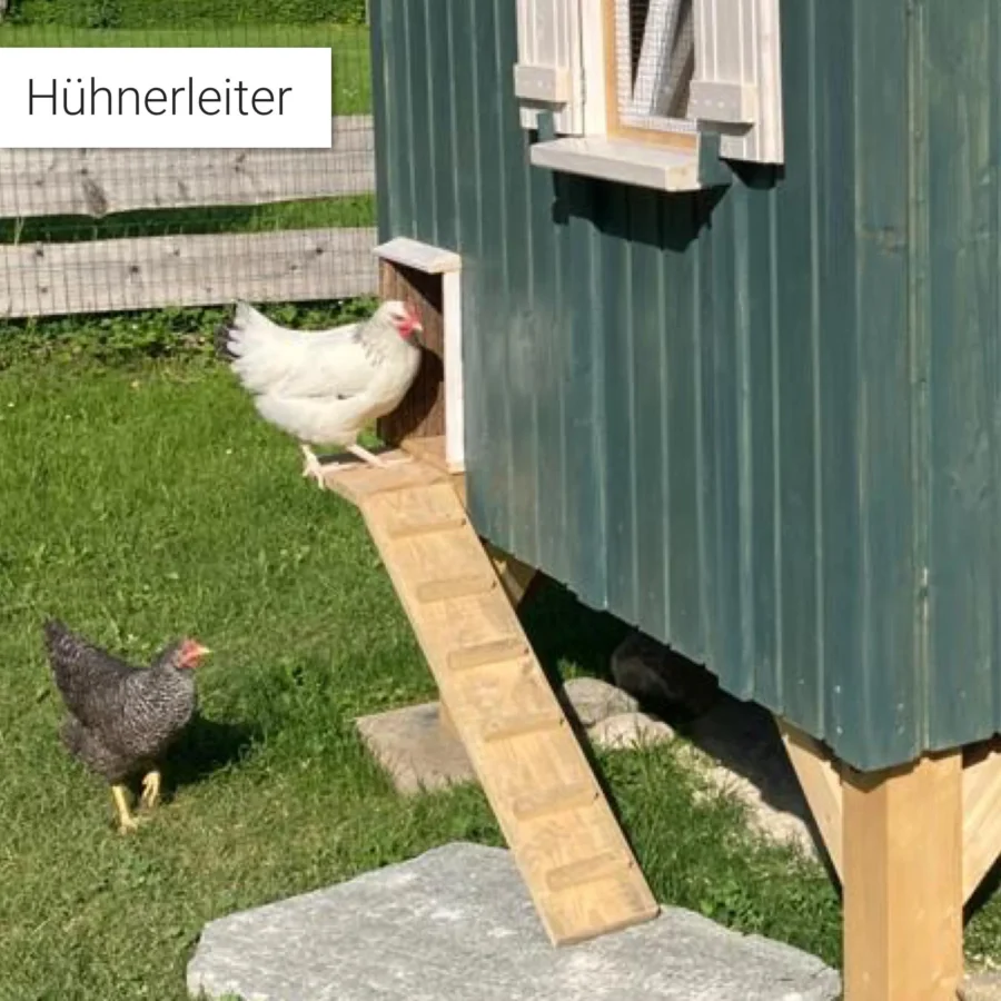 Der Holz Hannes Hühnerstall Basis-Paket - Bauwagen aus Holz mit Blechdach & Sitzstange