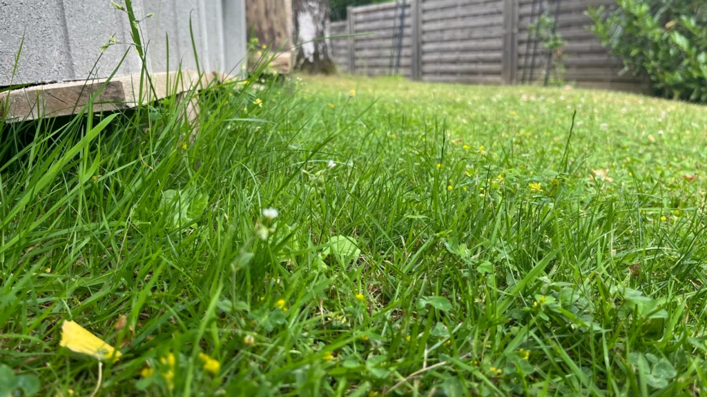 Gardena Mähroboter smart SILENO max beim Mähen entlang einer Rasenkante mit leichtem Abstand zur Mauer